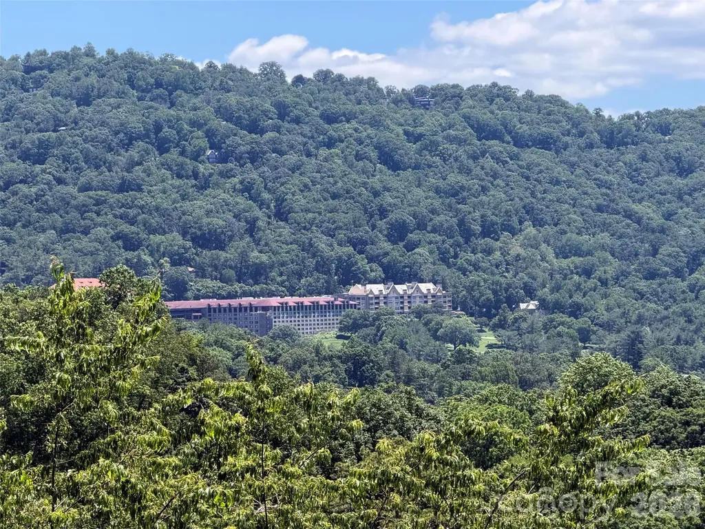 38 Lookout Road Asheville NC 28804