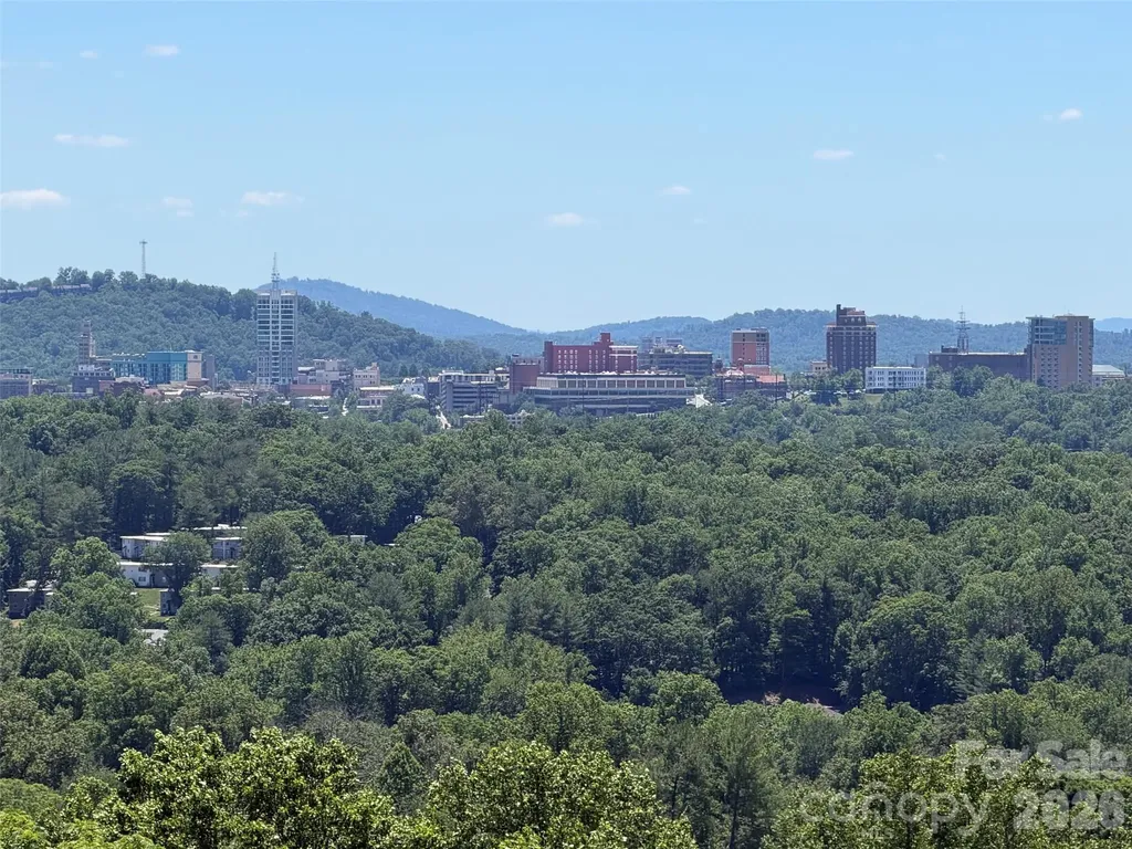 38 Lookout Road Asheville NC 28804