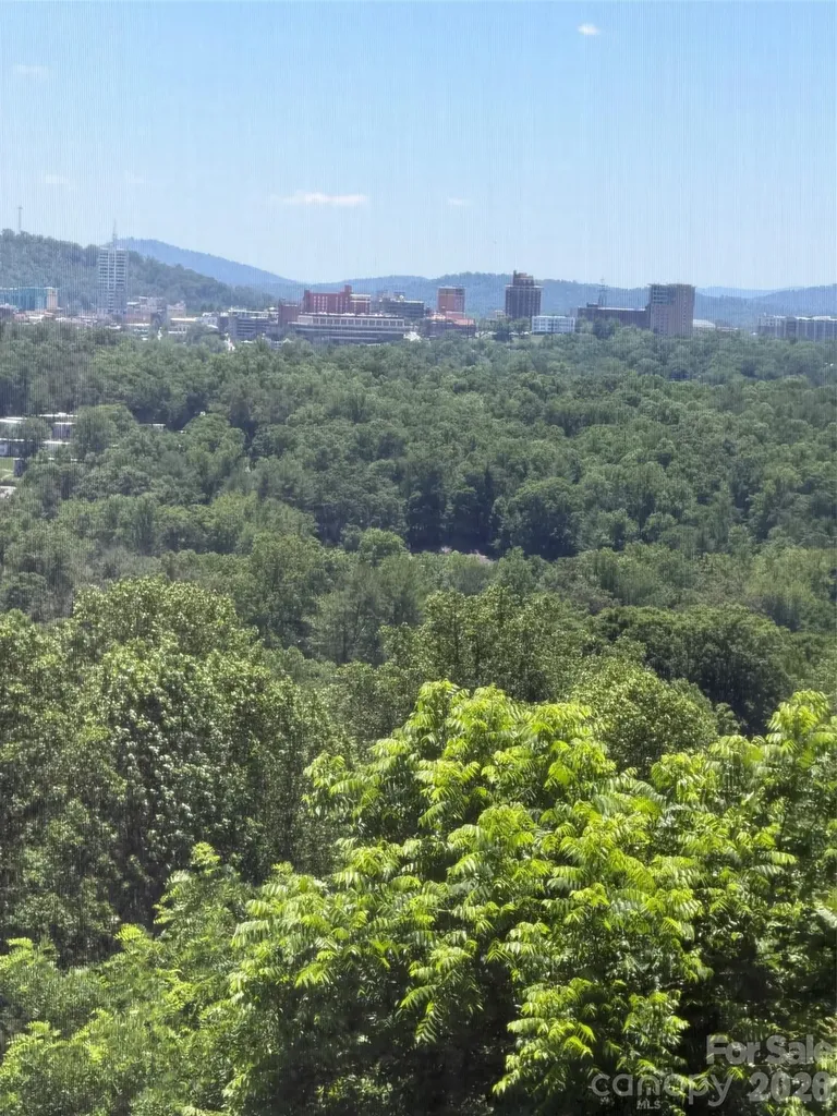 38 Lookout Road Asheville NC 28804