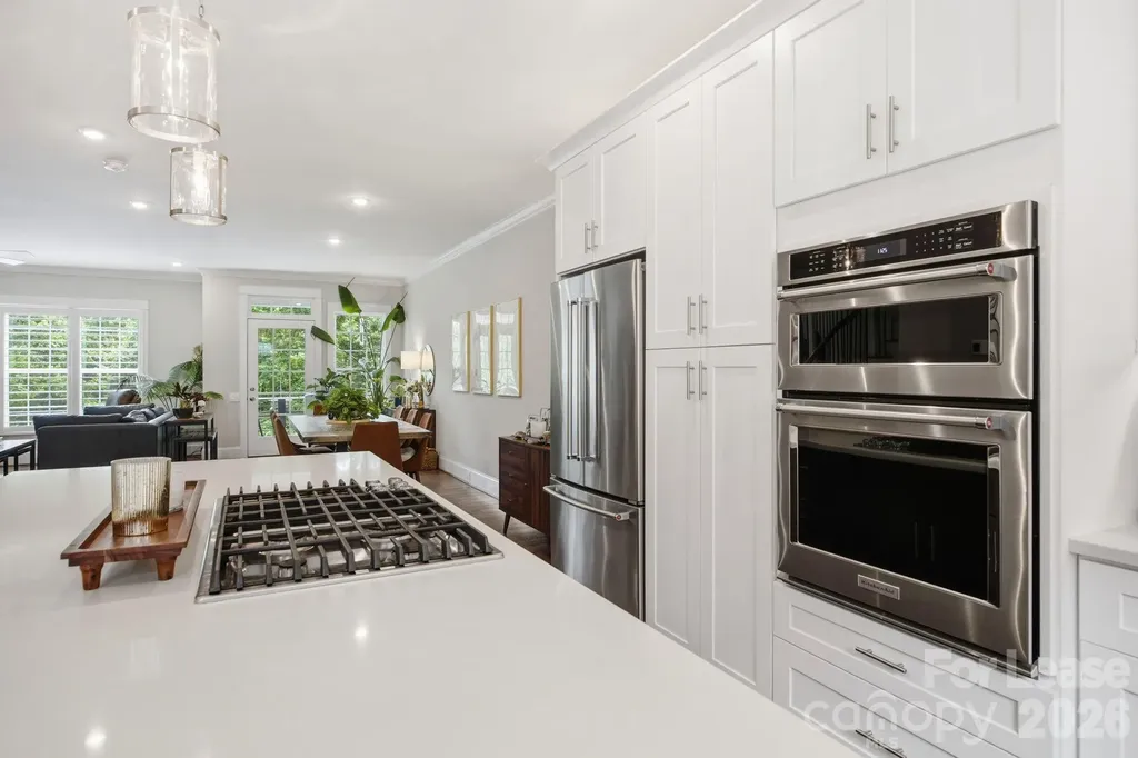 519 Griffith Village Lane Davidson NC 28036
