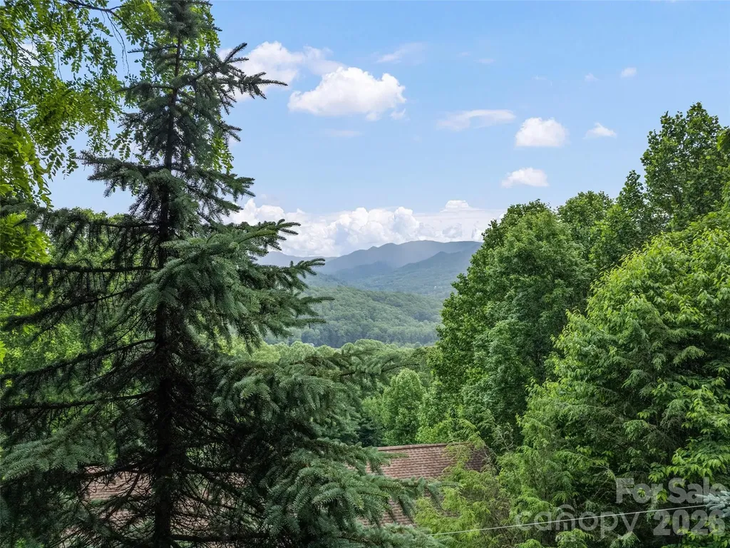 104 The High Road Waynesville NC 28786