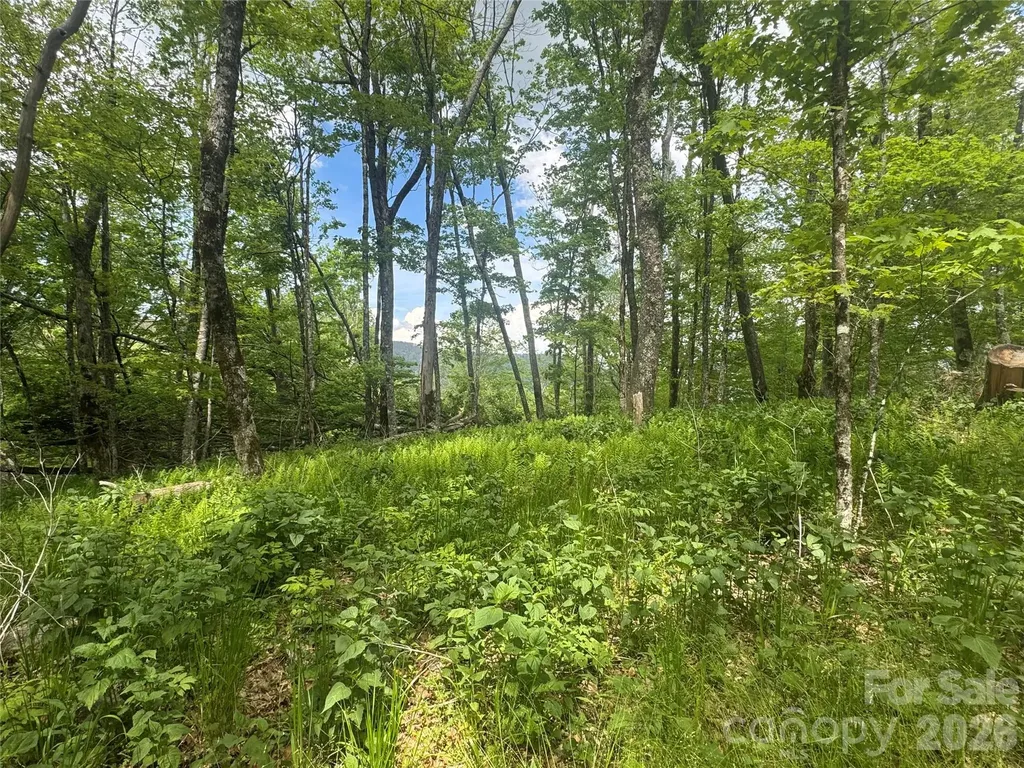 1026 Wolfs Head Court Mars Hill NC 28754