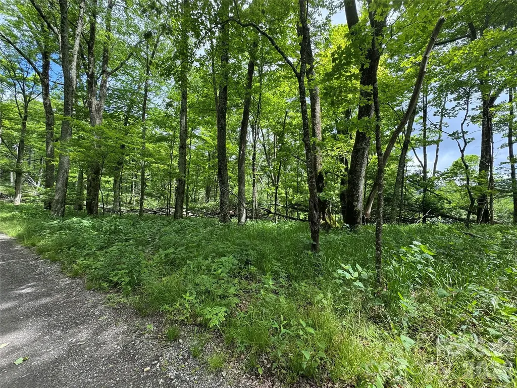1026 Wolfs Head Court Mars Hill NC 28754