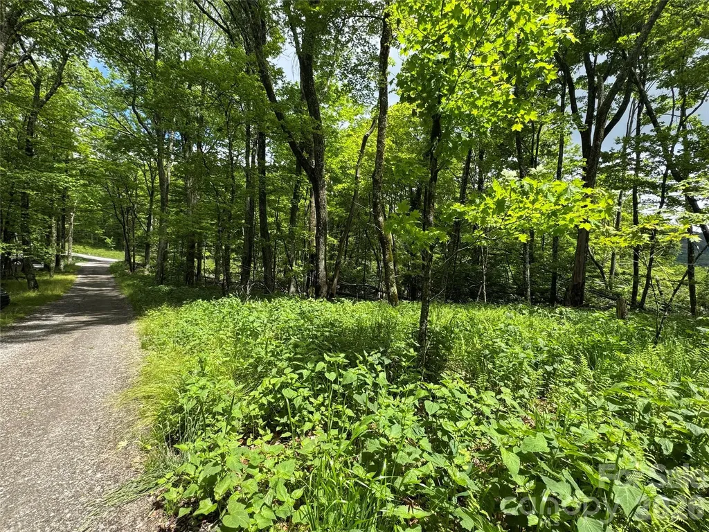 1026 Wolfs Head Court Mars Hill NC 28754