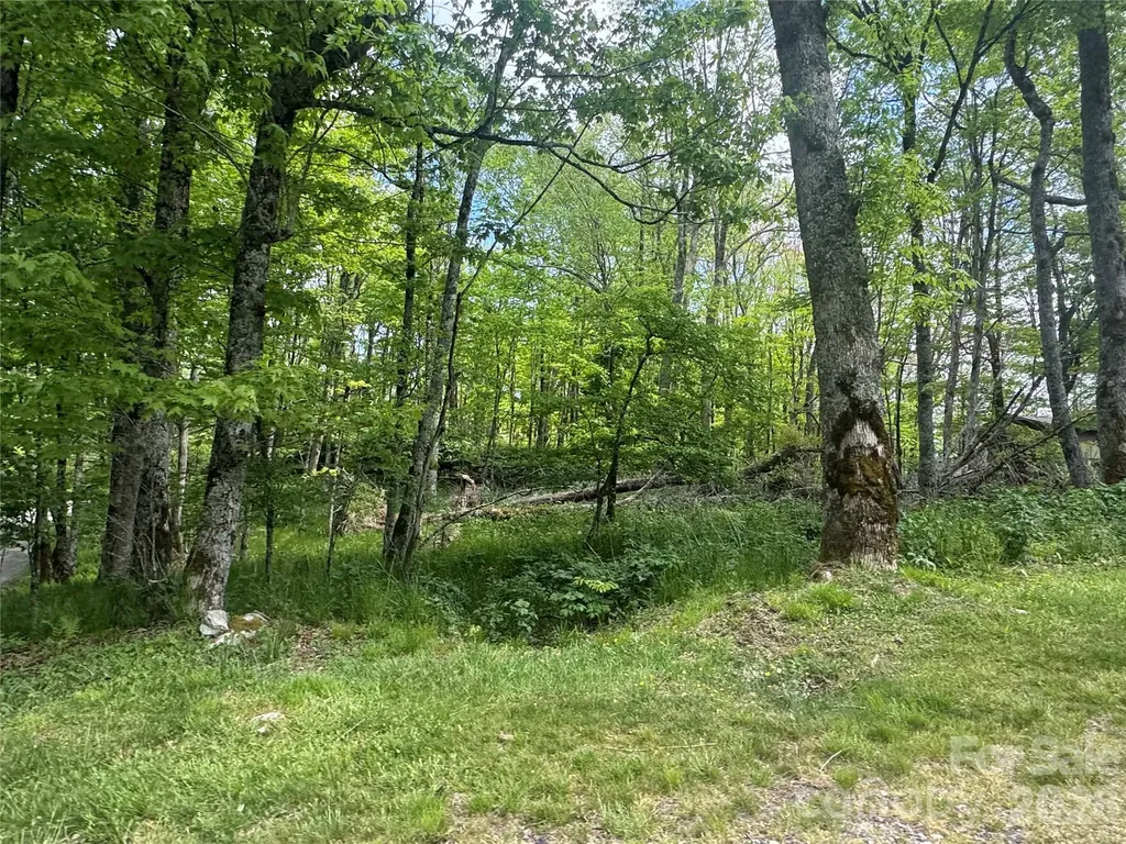 1026 Wolfs Head Court Mars Hill NC 28754