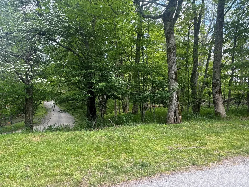 1026 Wolfs Head Court Mars Hill NC 28754