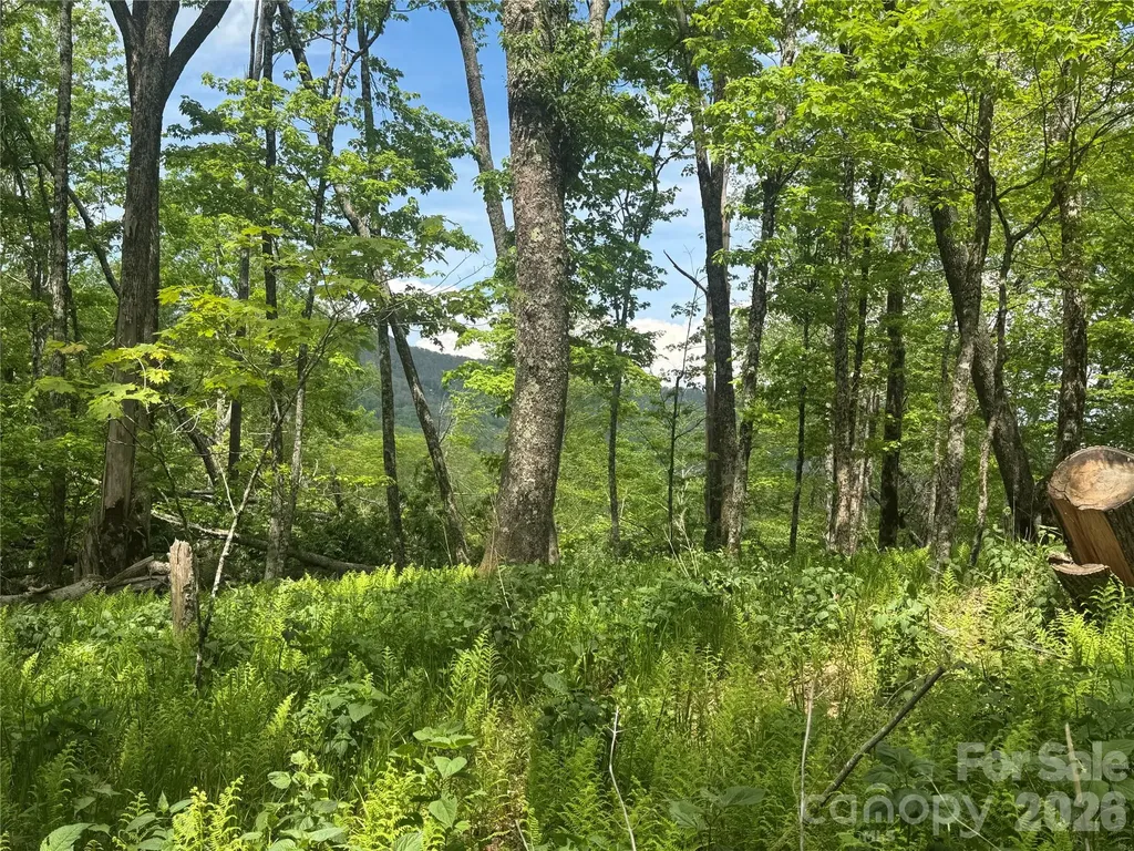 1026 Wolfs Head Court Mars Hill NC 28754