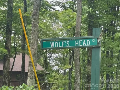 1026 Wolfs Head Court Mars Hill NC 28754