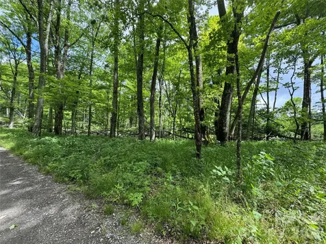 1026 Wolfs Head Court Mars Hill NC 28754