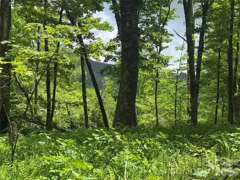 1026 Wolfs Head Court Mars Hill NC 28754