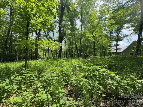 1026 Wolfs Head Court Mars Hill NC 28754