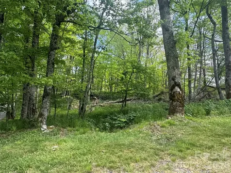 1026 Wolfs Head Court Mars Hill NC 28754