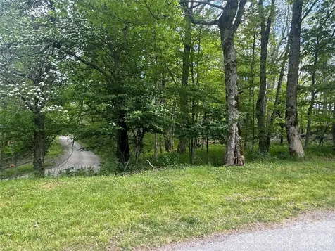1026 Wolfs Head Court Mars Hill NC 28754