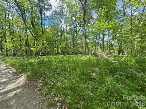 1026 Wolfs Head Court Mars Hill NC 28754