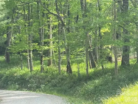 1026 Wolfs Head Court Mars Hill NC 28754