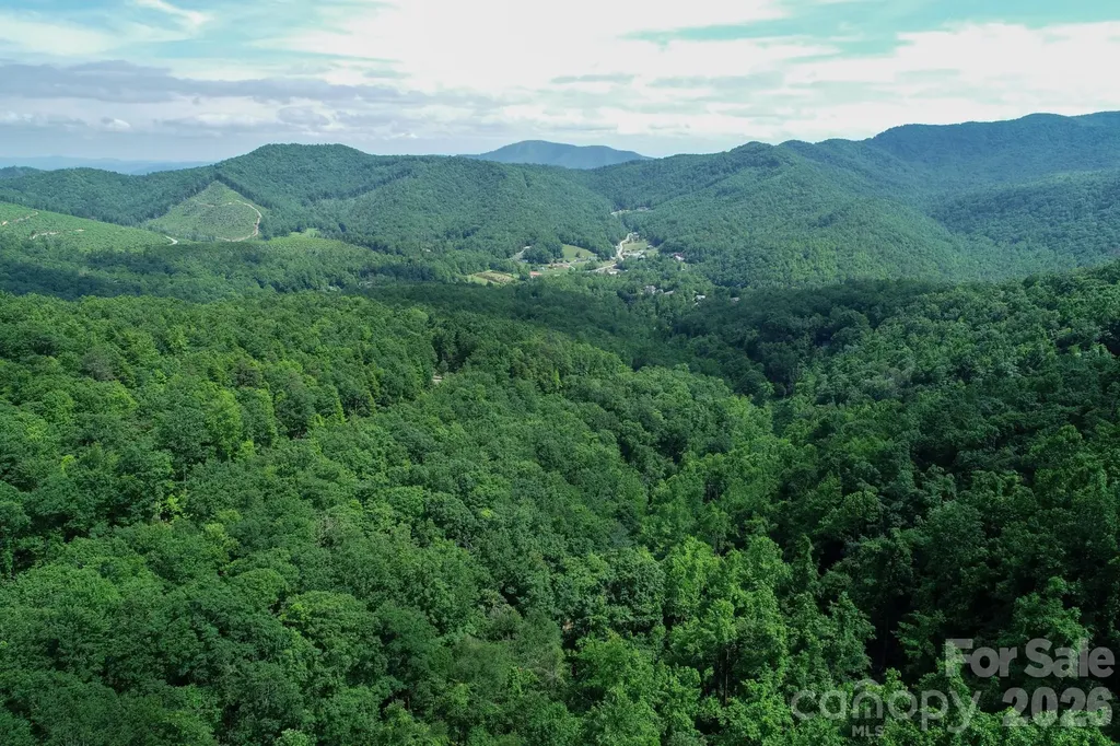 1299 Pine Ridge Road Burnsville NC 28714