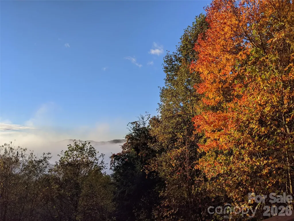 1299 Pine Ridge Road Burnsville NC 28714