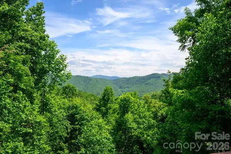 1299 Pine Ridge Road Burnsville NC 28714