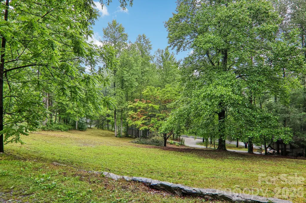 677 Mount Olivet Road Zirconia NC 28790