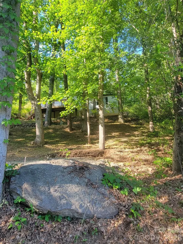138 Buddy Lane Chimney Rock NC 28720