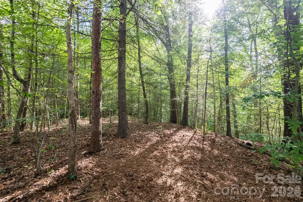 34 Wintercrest Drive Candler NC 28715