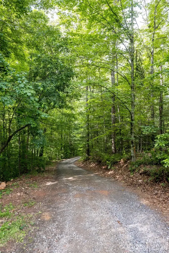 34 Wintercrest Drive Candler NC 28715