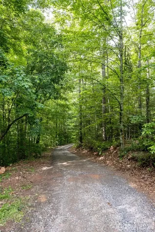 34 Wintercrest Drive Candler NC 28715