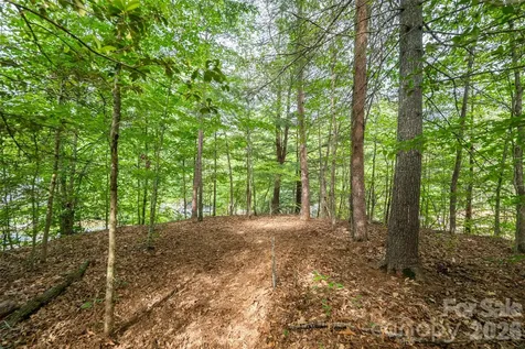 34 Wintercrest Drive Candler NC 28715