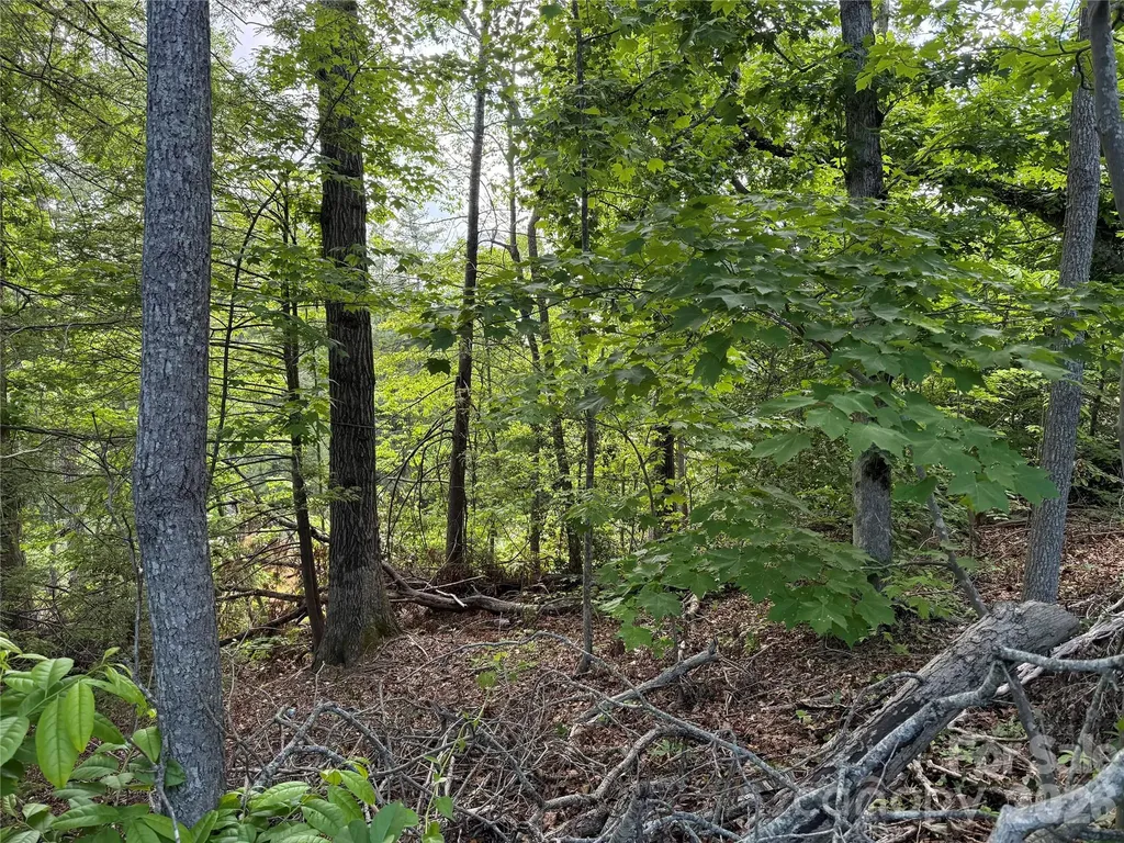 53 Will Road Hendersonville NC 28792