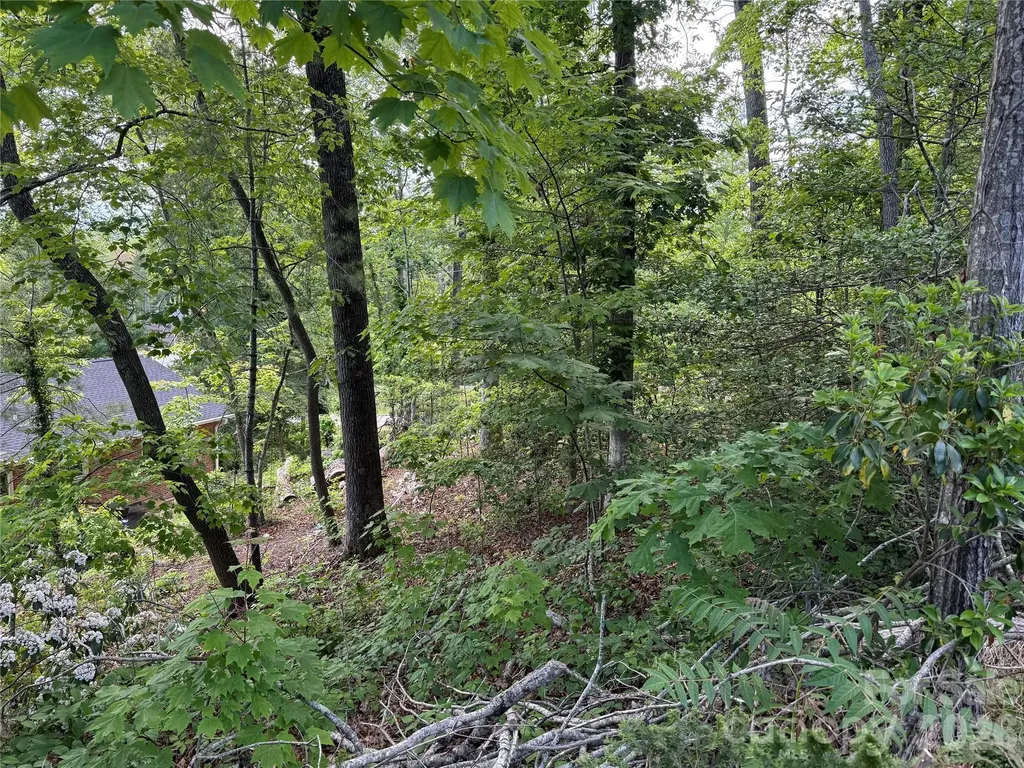 53 Will Road Hendersonville NC 28792