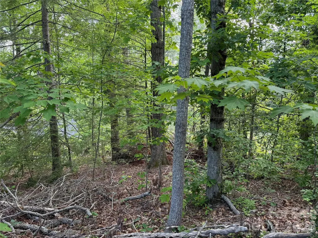 53 Will Road Hendersonville NC 28792