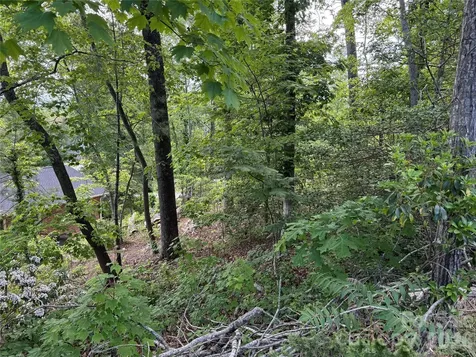 53 Will Road Hendersonville NC 28792