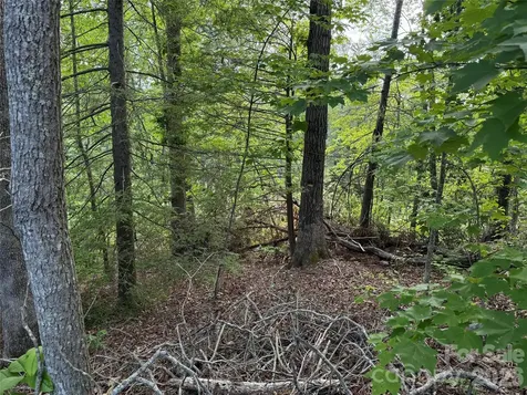 53 Will Road Hendersonville NC 28792