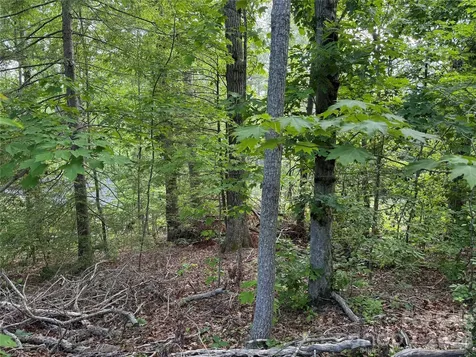 53 Will Road Hendersonville NC 28792