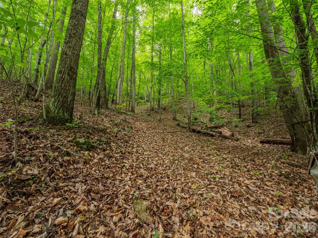 68 Long Ridge Road Candler NC 28715