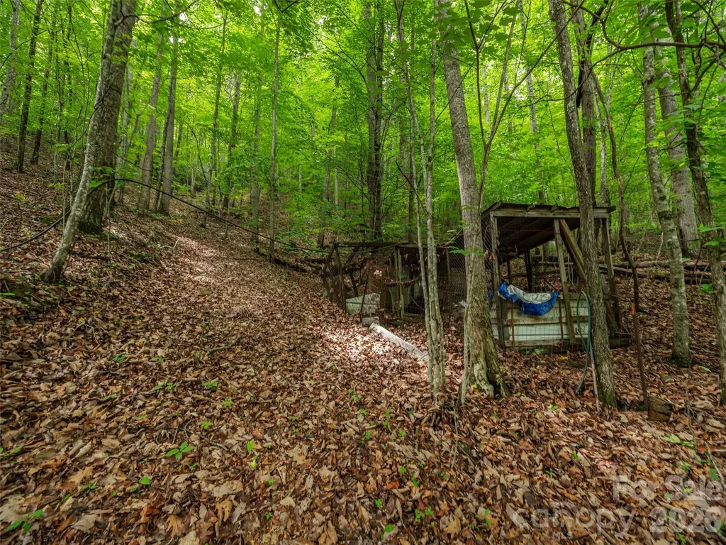 68 Long Ridge Road Candler NC 28715