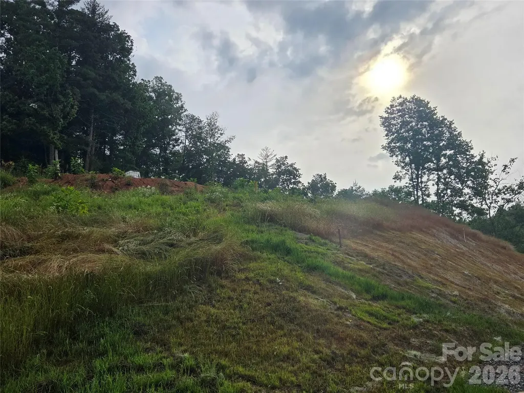 248 Big Branch Drive Mars Hill NC 28754