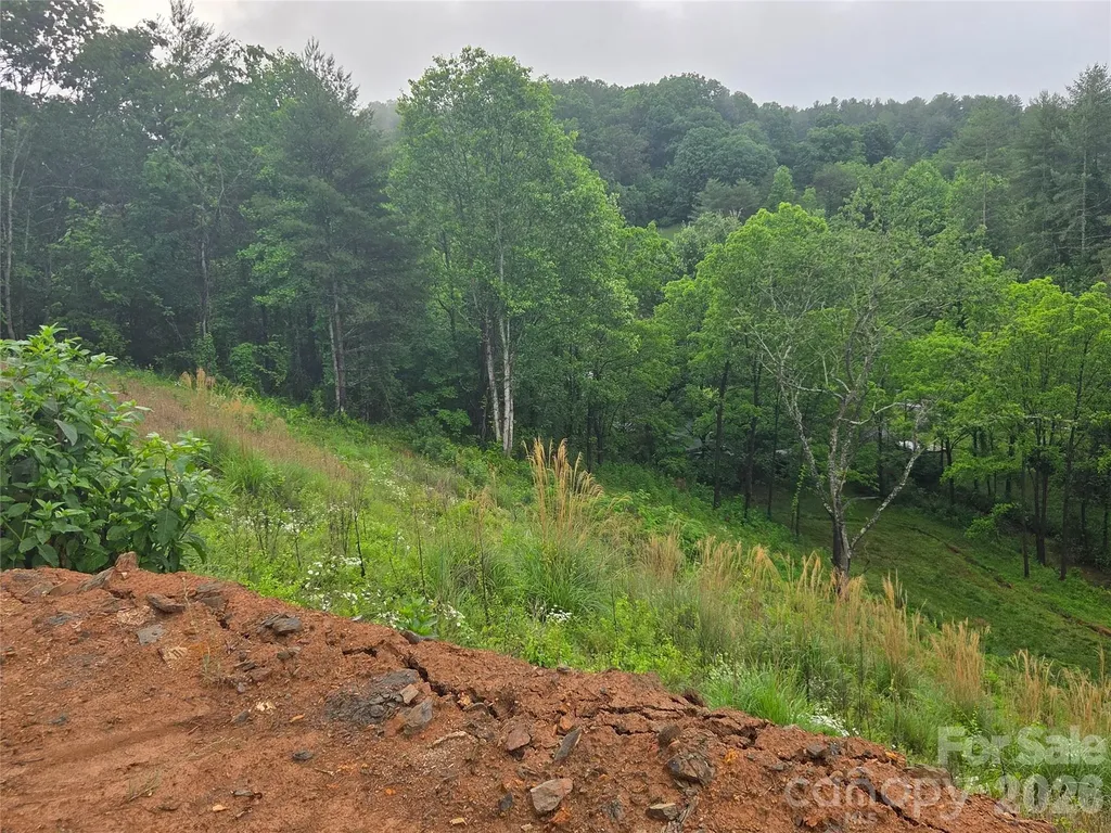 374 Big Branch Drive Mars Hill NC 28754