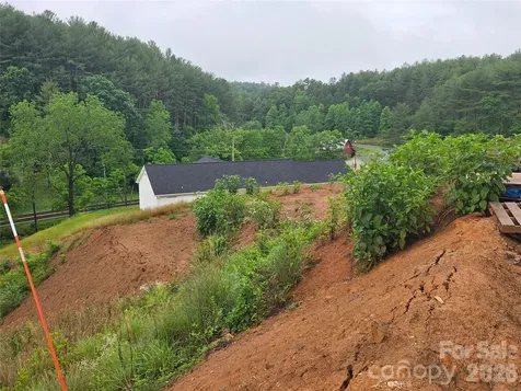 292 Big Branch Drive Mars Hill NC 28754