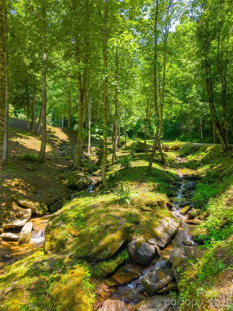 77 Pigeon Creek Trail Bryson City NC 28713