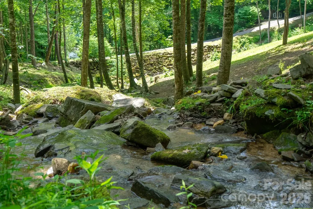 77 Pigeon Creek Trail Bryson City NC 28713