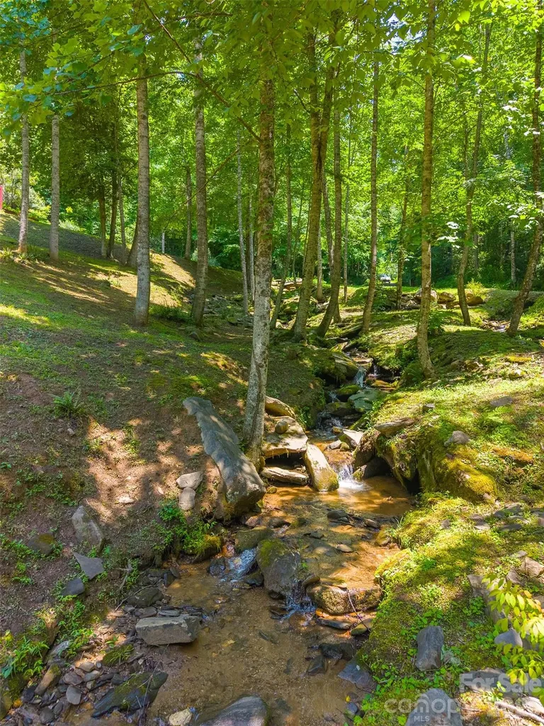 77 Pigeon Creek Trail Bryson City NC 28713