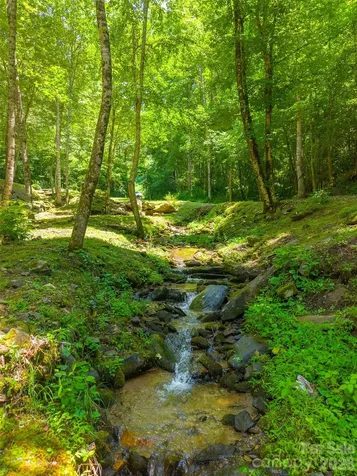 77 Pigeon Creek Trail Bryson City NC 28713