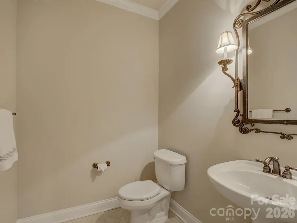 3912 Lake Spring Cove Court Denver NC 28037