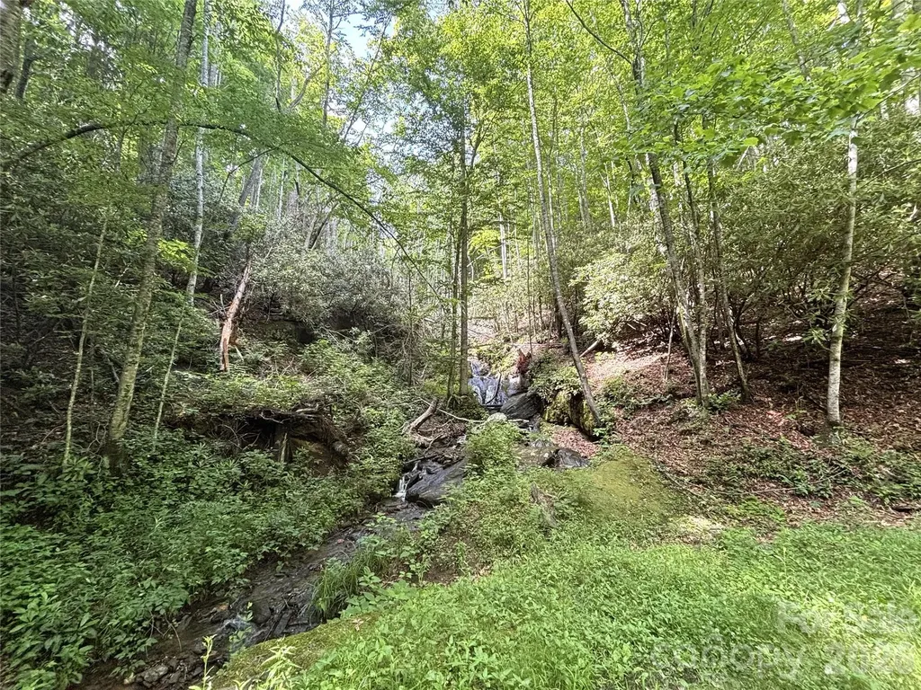 000 Valley View Drive Maggie Valley NC 28751