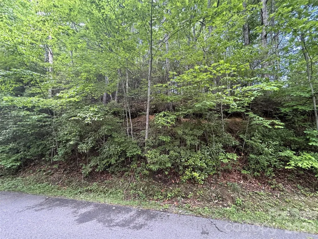 000 Valley View Drive Maggie Valley NC 28751