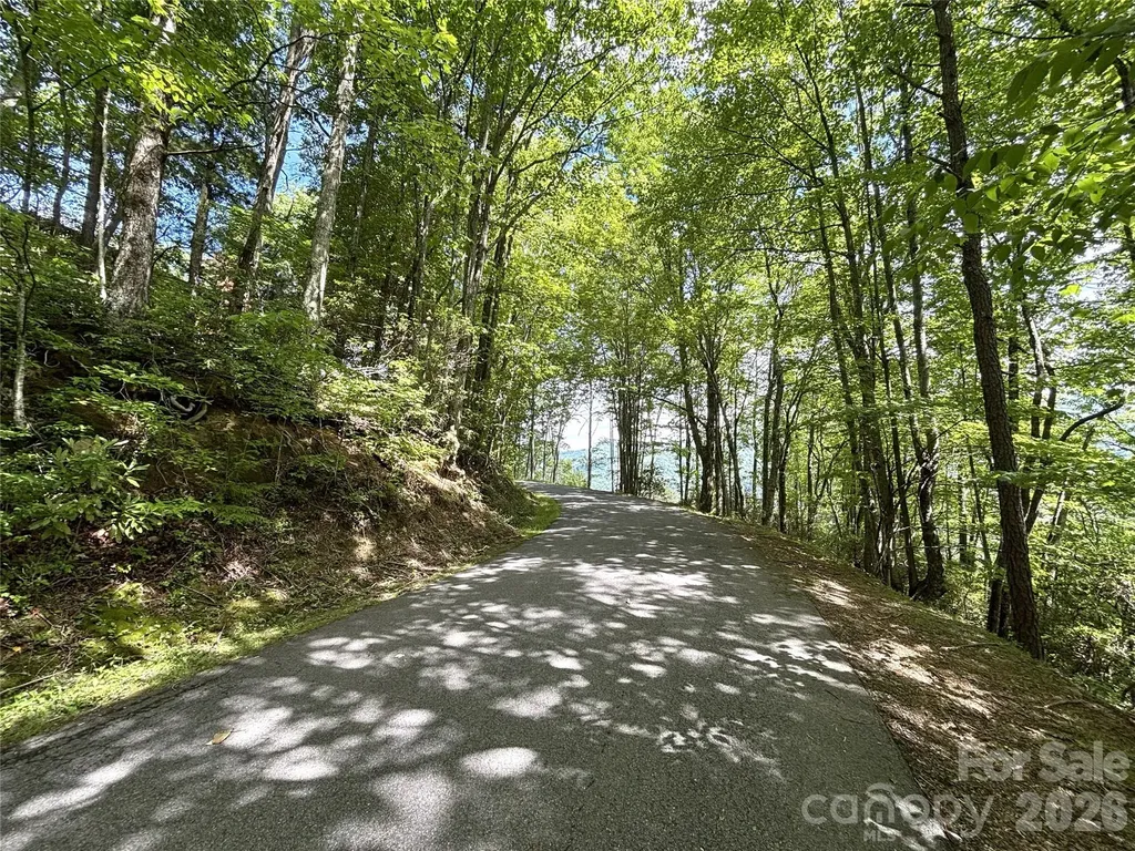000 Valley View Drive Maggie Valley NC 28751