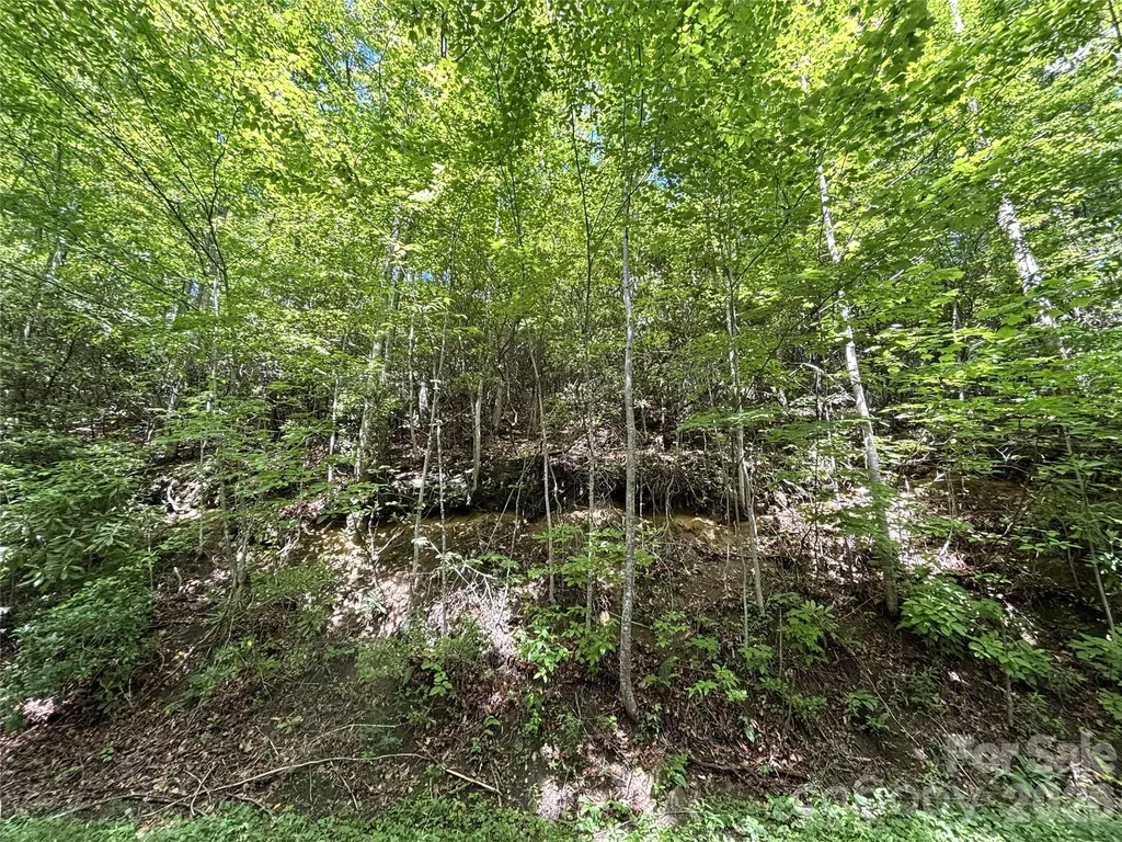 000 Valley View Drive Maggie Valley NC 28751