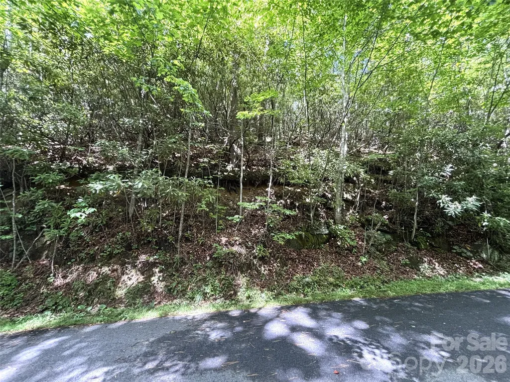 000 Valley View Drive Maggie Valley NC 28751