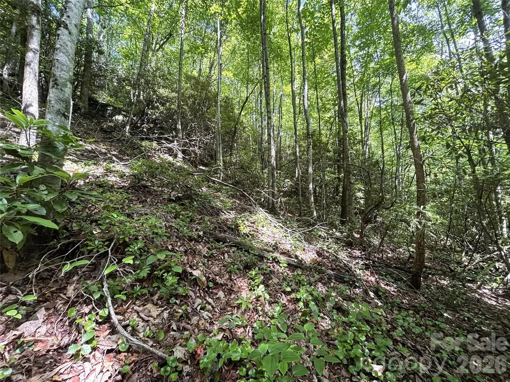 000 Valley View Drive Maggie Valley NC 28751